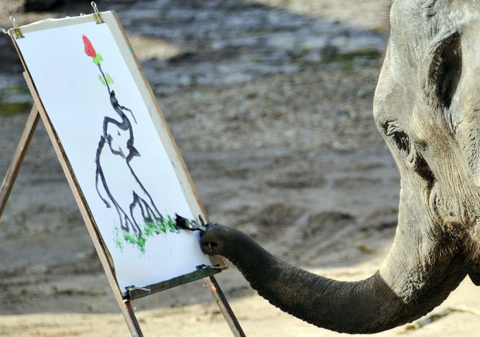 Слон рисует слона. \ Фото: edition.cnn.com.