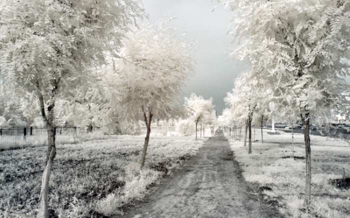 Зима среди лета. Инфракрасная съемка от Олега Стельмах.