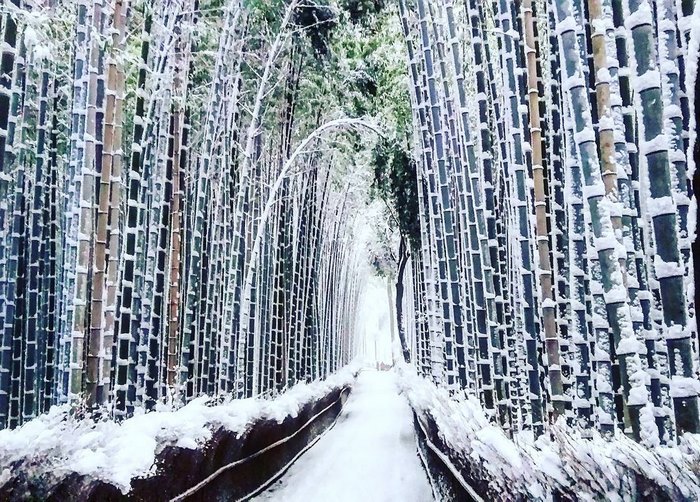 Снегопад в Киото, Япония. 