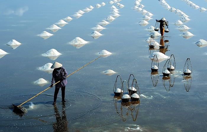 Собиратели соли. Автор: Ly Hoang Long.