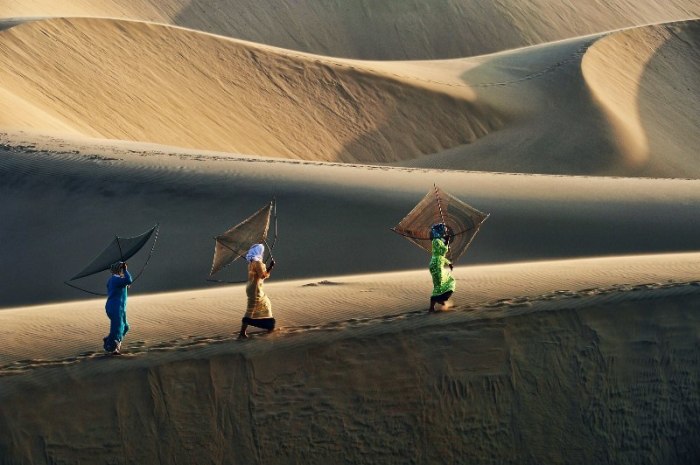 Жаркое солнце пустыни. Автор: Ly Hoang Long.