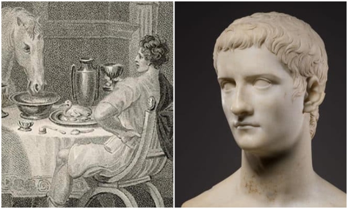 Слева направо: Трапеза с конём. \ Император Калигула.