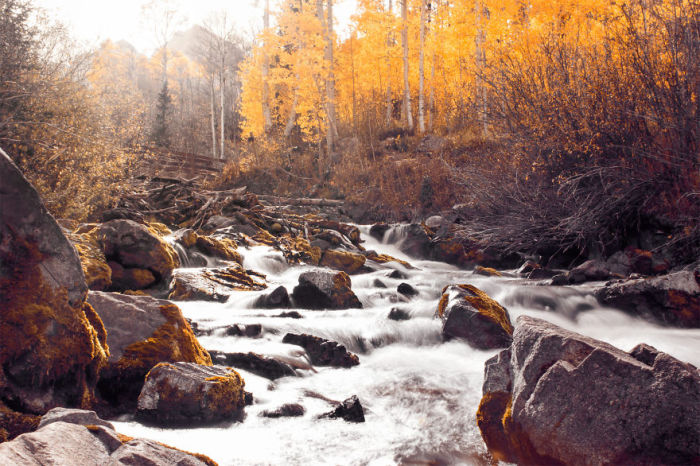 Золотая осень, Колорадо. Автор фото: Mark Flower.