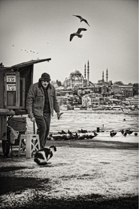 Человек и кошка от Mustafa Seven.