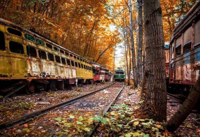 Кладбище старых трамваев. Штат Пенсильвания, США.