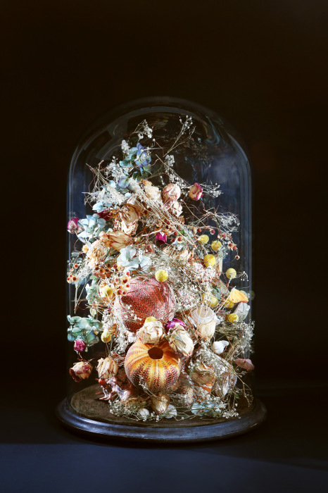 Цветы под стеклянным колпаком. Автор: Rebecca Louise Law.
