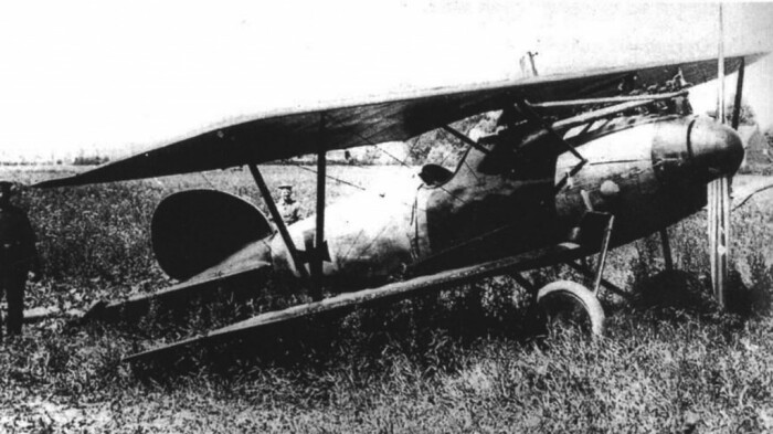 Albatros D.V Рихтгофена после вынужденной посадки близ Вервика. \ Фото: fly.historicwings.com.