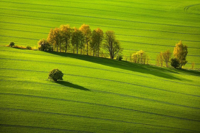 Зеленые равнины. Швейцария.