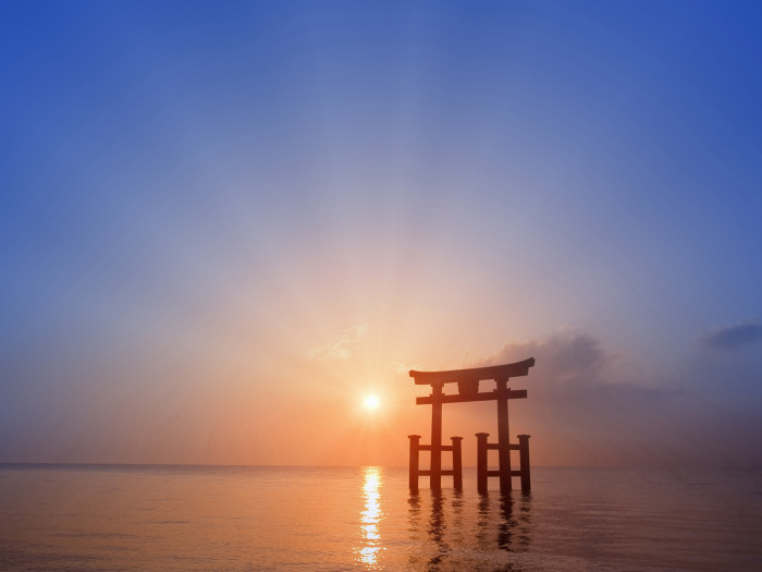 Тории на закате дня. Япония. 