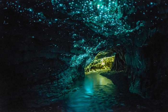 Пещеры светлячков, Вайтомо, Новая Зеландия.