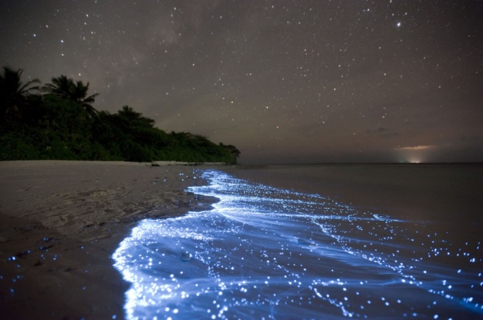 Море звезд на острове Ваду, Мальдивы.