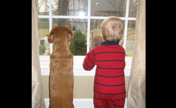 Малыш и собака встречают папу!