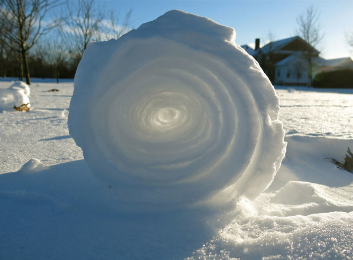 Пушистый рулон катится по снежному полю как перекати-поле. Автор фотографии: Miranda Granche.