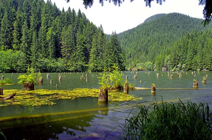 Озеро имеет красноватый оттенок оттого, что его вода протекает через слои почвы, богатые оксидами железа.