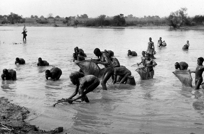 Жители Уагадугу ловят рыбу практически руками.