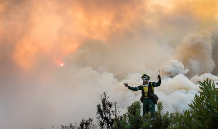 Борьба людей со свирепствующими лесными пожарами в Южной Африке. Автор фотографии: Джастин Салливан.