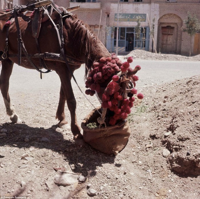 Лошадь, украшенная самодельными красными шарами, кушает солому на обочине дороги.