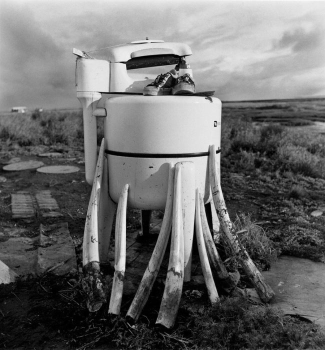 Пришедшая в негодность стиральная машина служит подставкой для сушки моржовых клыков, Ньюток, Аляска, 1977 год.