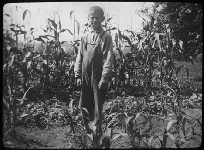 Во время сбора кукурузы, 1900 гг.
