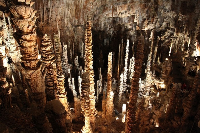 Пещера имеет более чем 400 уникальных видов сталагмитов, в том числе самый крупный в мире, размер которого около 30 метров в высоту.