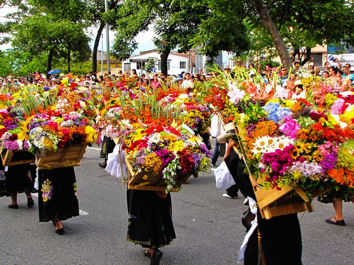 Тысячи носильщиков silleteros «оседланные», несут на спине в деревянных силлетах большие украшения из живых цветов.
