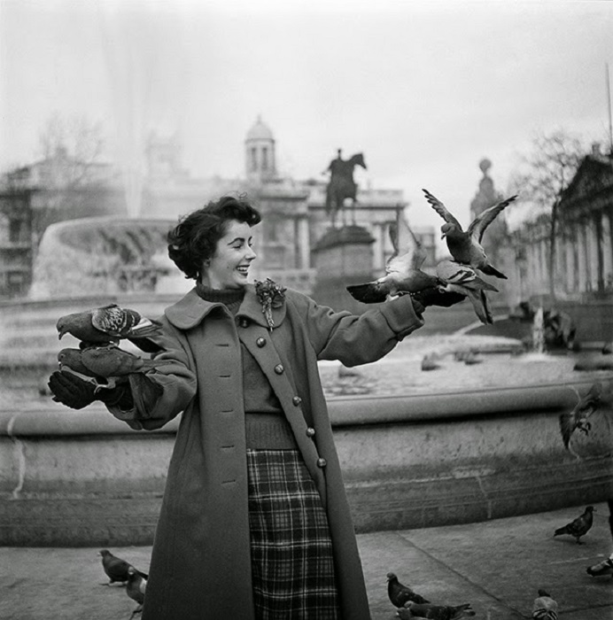 Элизабет Тейлор в окружении голубей на Трафальгарской площади, Лондон, ноябрь 1948 года.