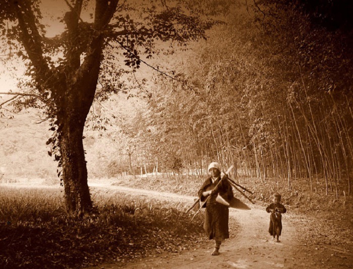 Мать и ребенок проходят бамбуковый лес, 1900 год.