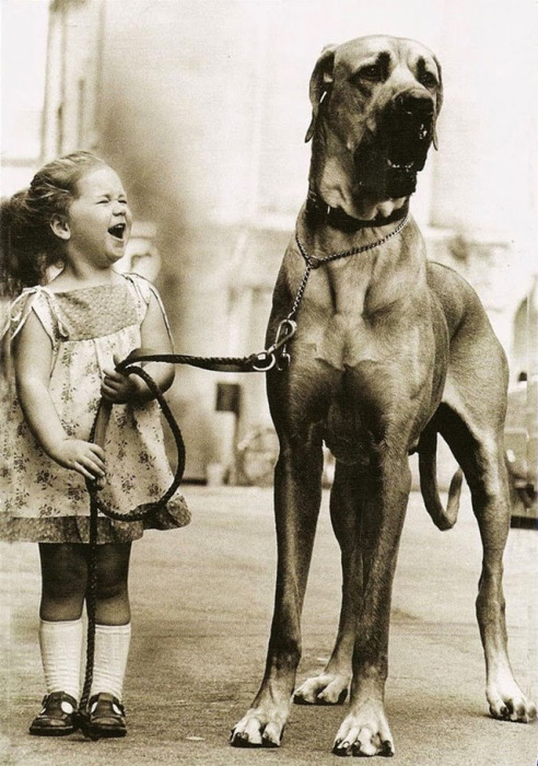 Трогательная дружба между ребёнком и собакой.