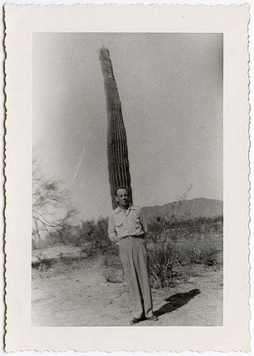 Мужчина зафиксировал момент жизни на фоне высокого кактуса.
