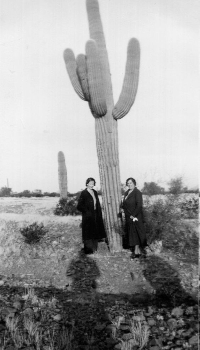 Две женщины позируют возле кактусового дерева.