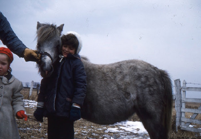 Лучший друг цыгана – лошадь.