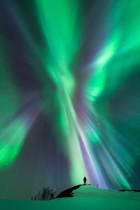 Северное полярное сияние, Нурланн, Норвегия. Фотограф Tommy Eliassen.