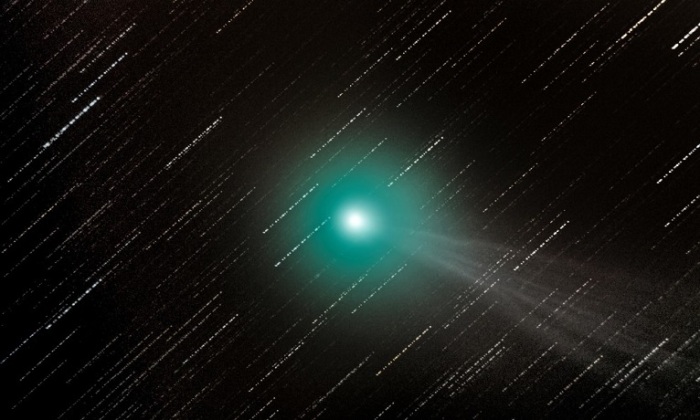 Периодическая комета, которая была открыта 17 августа 2014 года астрономом Терри Лавджоем из Брисбена, Австралия. Маркет Харборо, Лестершир, Англия. Фотограф George Martin.