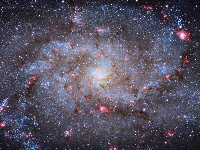 Галактику M 33, которая находится в 3 миллионах световых лет от Земли, часто именуют галактикой Треугольника по названию созвездия, в котором она находится, Алмере, Нидерланды. Фотограф Michael van Doorn.