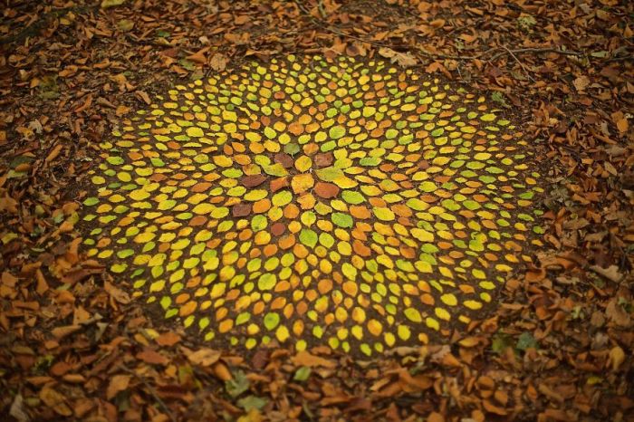 Сложный ленд-арт, созданный из множества разноцветных опавших листьев бука.