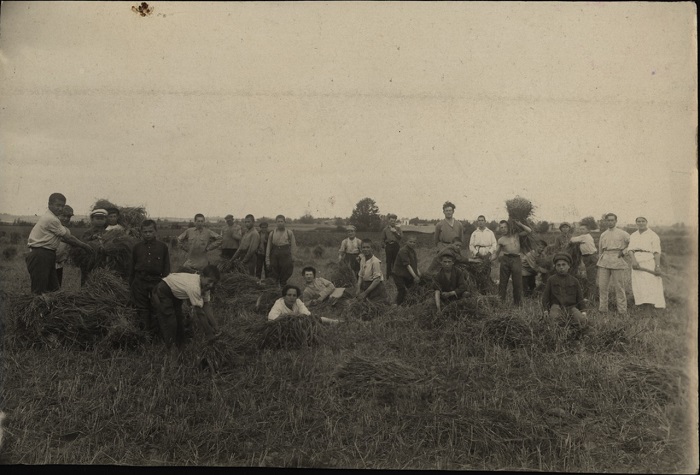 На полевых работах, 1923 год.
