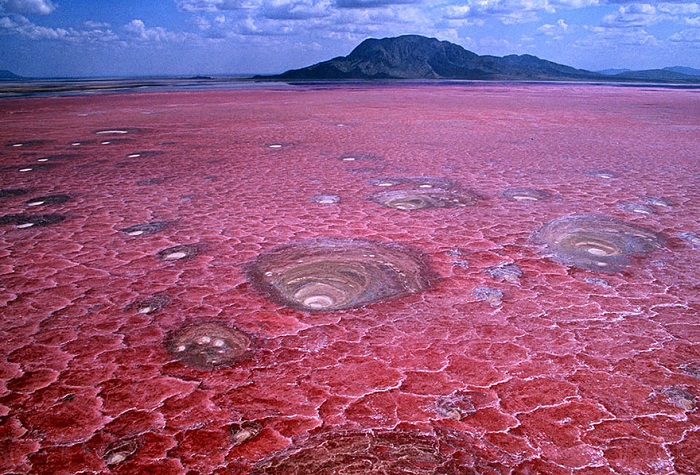 Соленое озеро, расположенное в северной Танзании.
