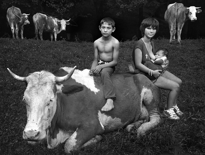 2-е место в категории «Люди» присуждено венгерскому фотографу Иштвану Керексу (Istvan Kerekes), запечатлевшему пастухов со стадом коров на лесной поляне.