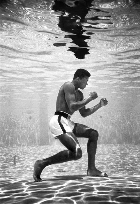 Мохаммед, тогда Кассиус Клей, обучение в бассейне в отеле Sir John, Майами, 1961 год.