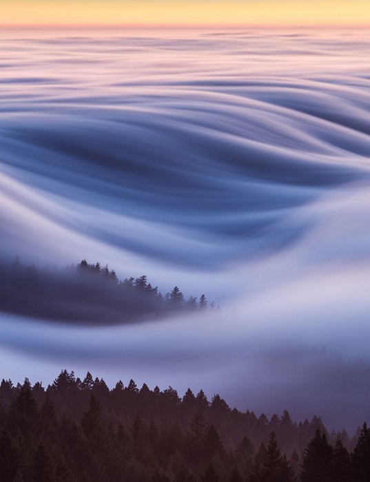 Похвальные отзывы жюри в номинации «Места» получил снимок американского фотографа Дэвида Одишо (David Odisho) с летним туманом в горах Тамальпайс.
