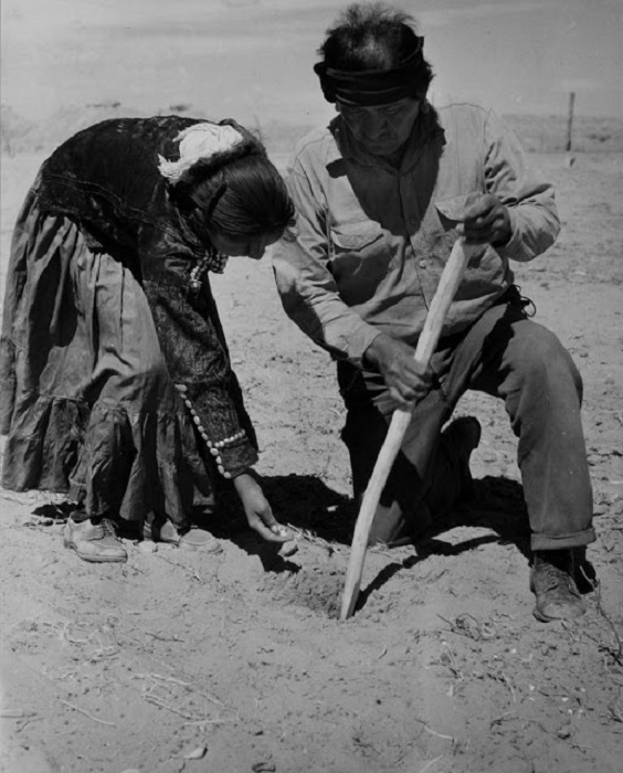 Отец и дочь садит кукурузу, недалеко от города Туба. Аризона, 1948 год.