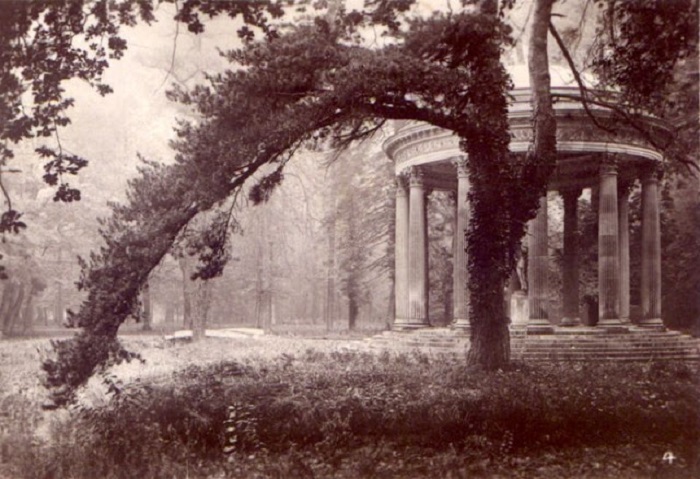 Жан Пьер Ив Пети крупным планом захватил дерево, что подчёркивает особенность снимка.