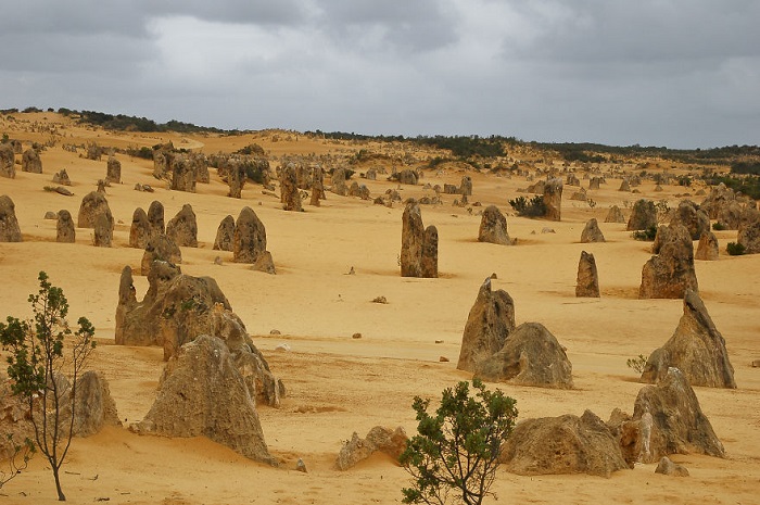 Пустыня представляет собой пространство, усеянное торчащими вертикально вверх башенками из песчаника.
