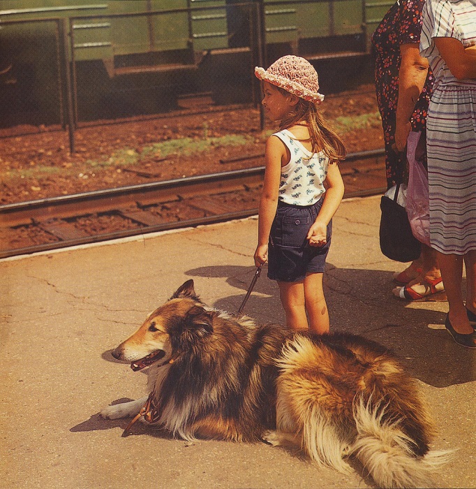 Девочка со своей собакой колли на перроне.