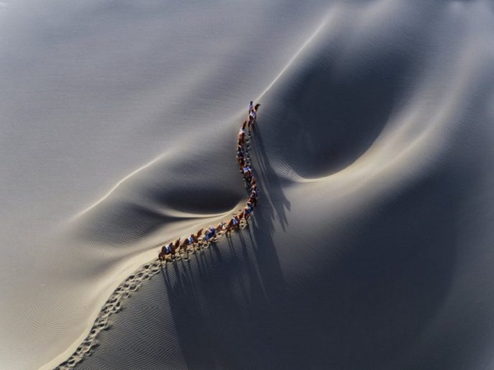 Аэрофотография, на которой запечатлён караван верблюдов в пустыне, выиграла первый приз в профессиональной категории «Красота». Автор фото: Ханбинг Ван