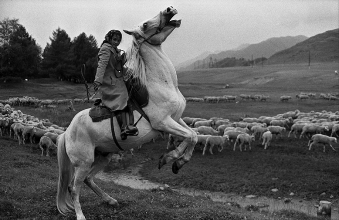 С раннего возраста дети знакомятся с седлом и помогают взрослым пасти стада. Цыгане-скотогоны на окраине села Онгудай, Сибирь, 1980 год.