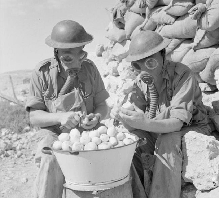 Британские солдаты чистят лук в противогазах. Тобрук. Итальянская Ливия. 15 октября 1941 года.