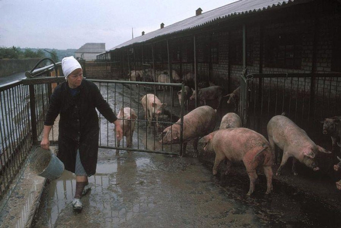 Донецкая ферма шахтеров, которая обеспечивает их едой, 1988 год. Фотограф Бруно Барби (Bruno Barbey).