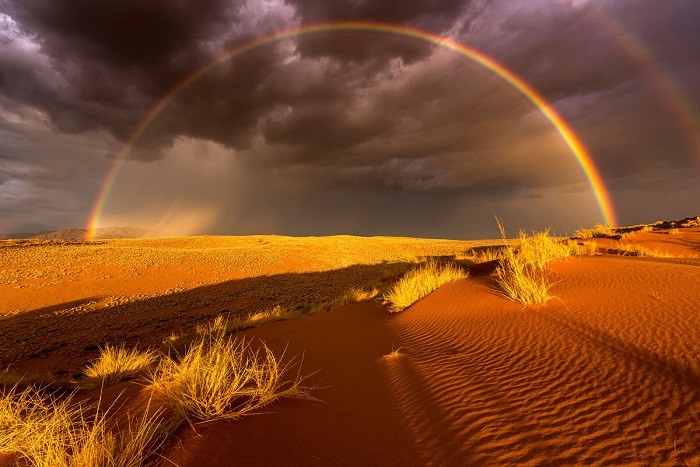 Очень редкое явление - дождь в засушливой пустыне. Автор фотографии: Stefan Forster.