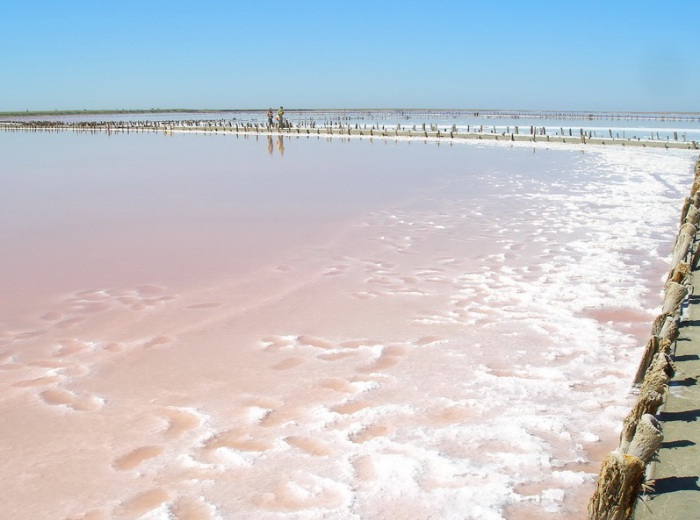 В Херсонской области возле села Григорьевка уникальное розовое озеро с рапой, которая чрезвычайно полезна.